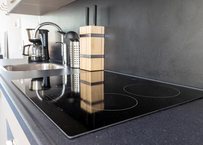 Family Executive With Balcony Open Utopia Flora 20f Lägenhet Delft